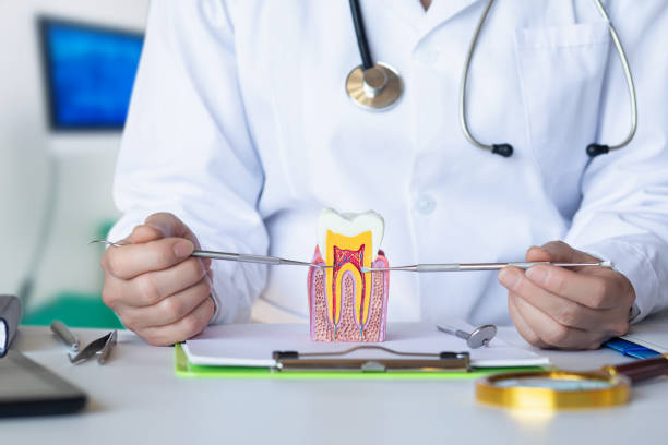 Best Emergency Tooth Extraction in Bannockburn, IL